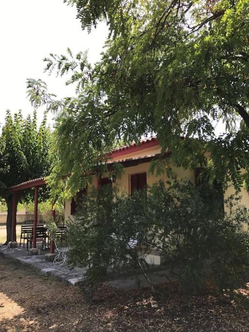 Authentic Country House In Zakynthos Ambelokipoi  외부 사진