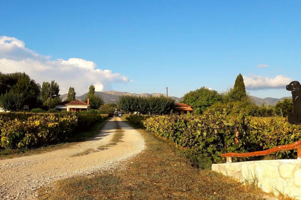Authentic Country House In Zakynthos Ambelokipoi  외부 사진